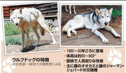 201511173.jpg