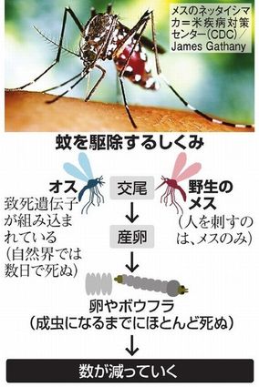 201608081.jpg